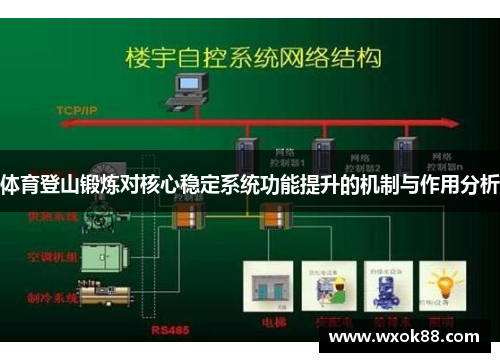 体育登山锻炼对核心稳定系统功能提升的机制与作用分析